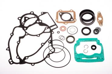 Dichtungssatz Motor DD2  ab 2015